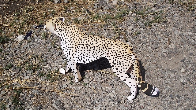 Cheetah (papercraft) by Pendragon