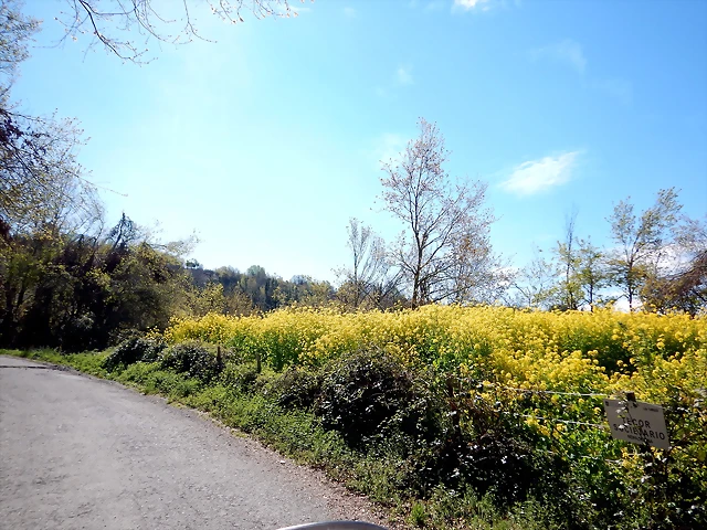 DSCN3968 DSCN3968