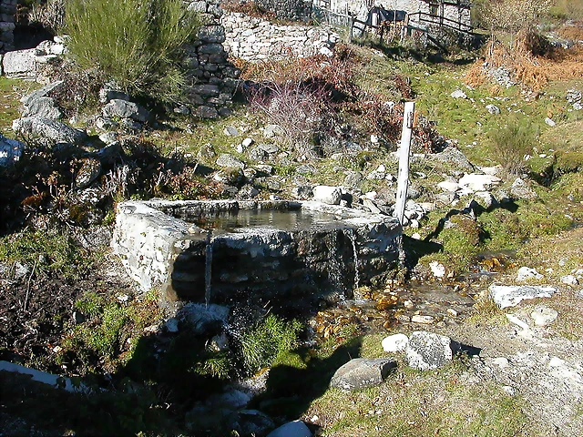 DSCN6899 DSCN6899