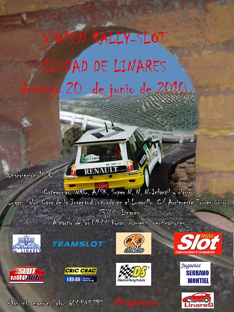 cartel open linares 2010