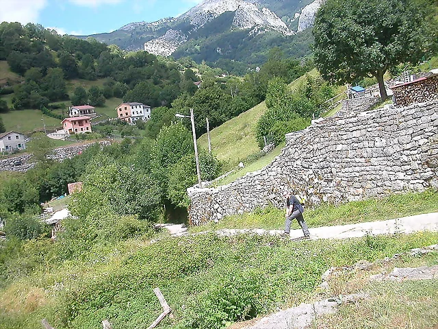 DSCN4372 DSCN4372