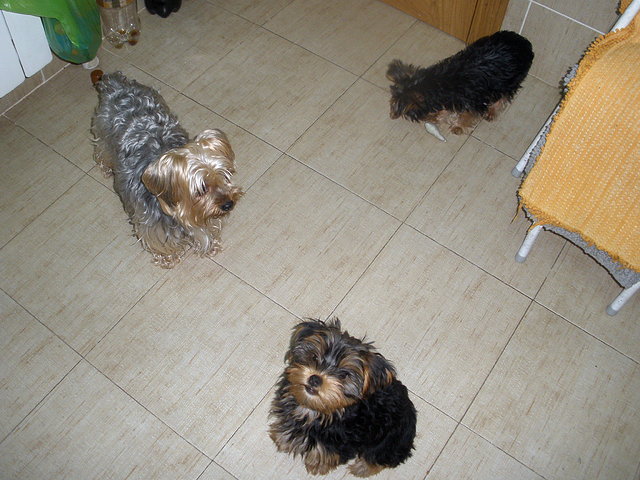 las 3 en la cocina