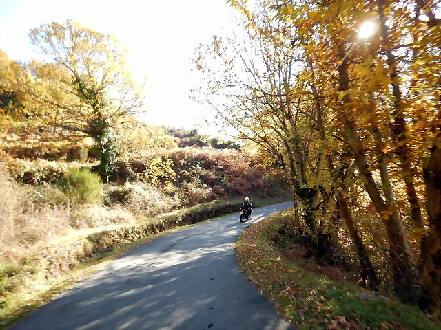 DSCN9555 DSCN9555