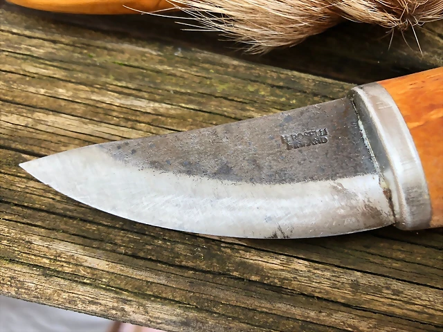 roselli3 roselli3