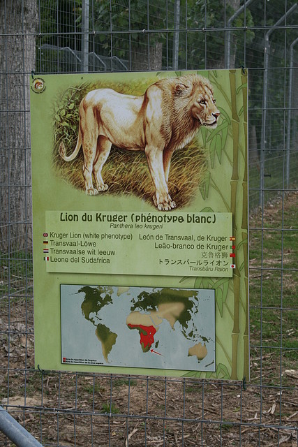 Le Parc des Felins agost 2010 940 Le Parc des Felins agost 2010 940