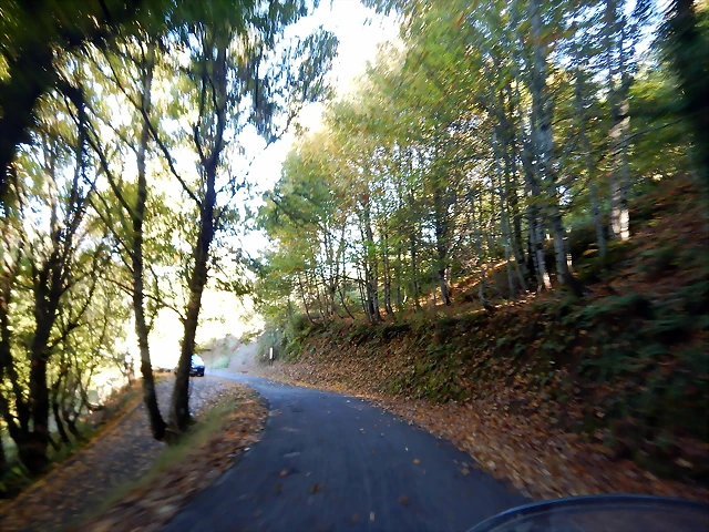 DSCN0123 DSCN0123