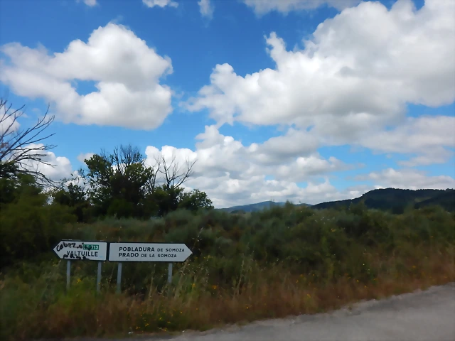 DSCN2997 DSCN2997