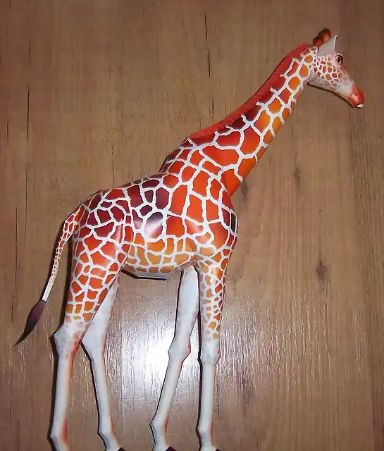 Girafa (26)