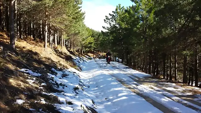 Chuletones a lsur de Gredos