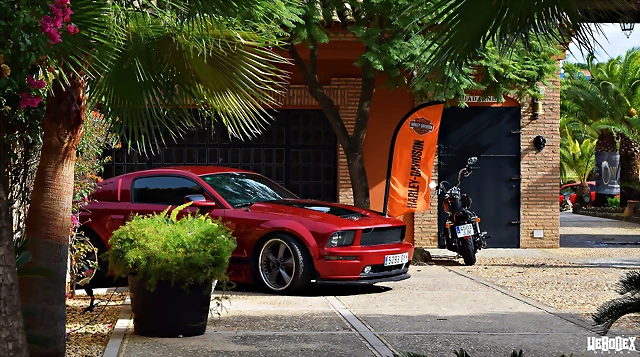 DSC_0851 DSC_0851