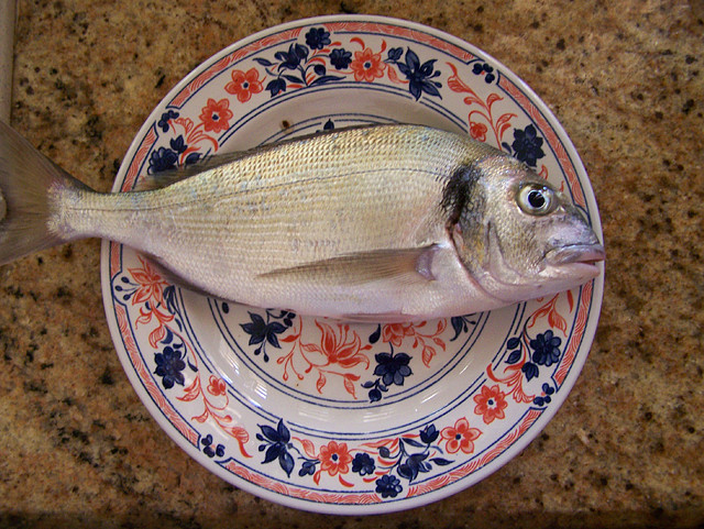 Dorada Salvaje Dorada Salvaje