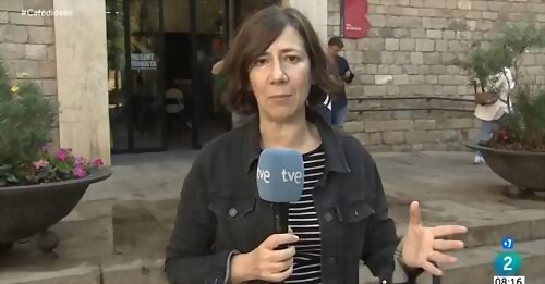 periodista periodista