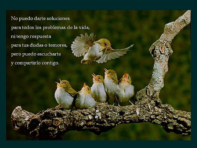Diapositiva1 Diapositiva1