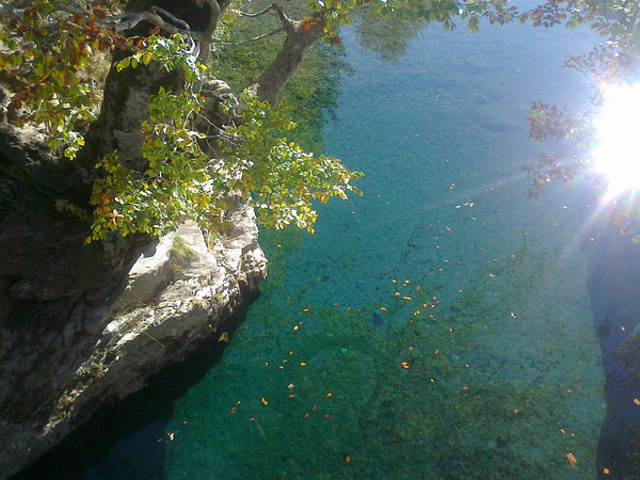 Foto0274 Foto0274