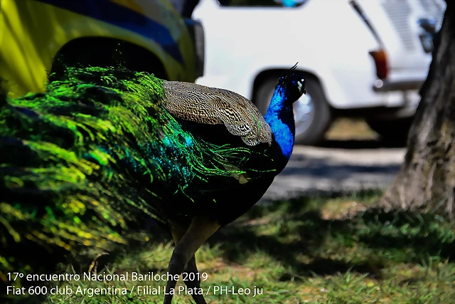 DSC_0200 DSC_0200