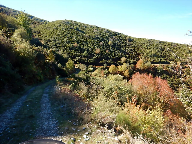 DSCN0050 DSCN0050
