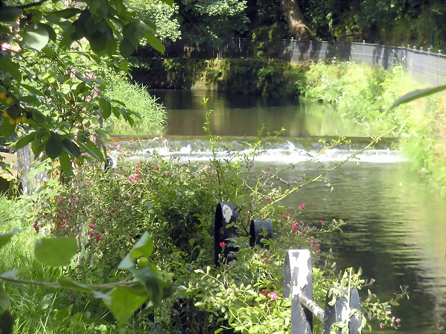 DSCN4186 DSCN4186
