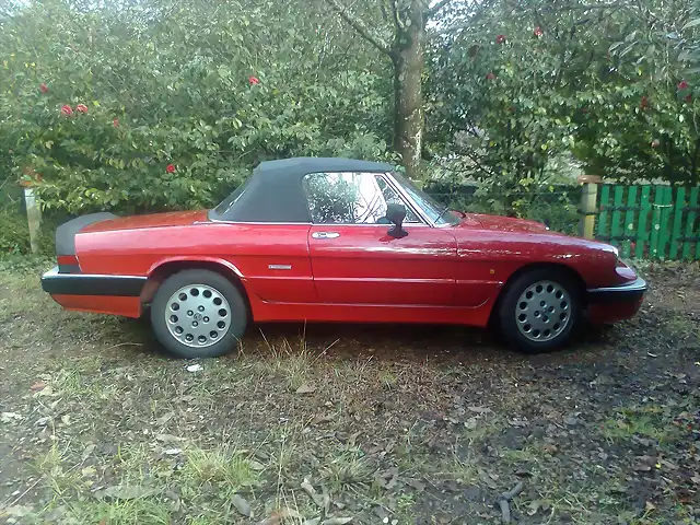 Alfa Spider