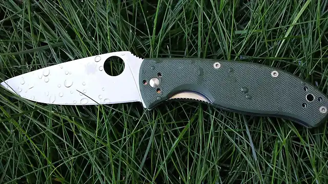 Spyderco Tenacious Green