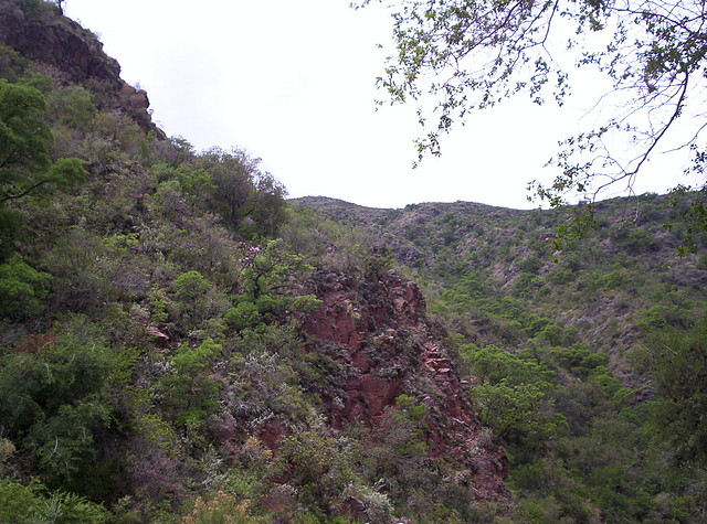 Base del Cerro Enero 2011 062
