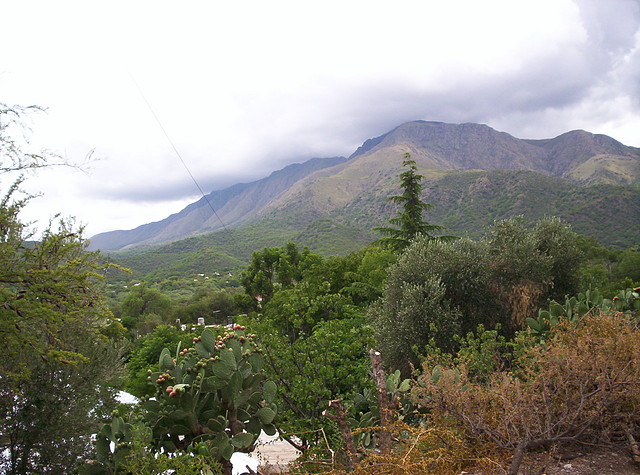 Base del Cerro Enero 2011 036