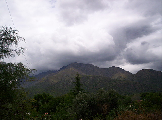 Base del Cerro Enero 2011 035