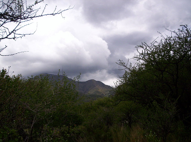 Base del Cerro Enero 2011 037