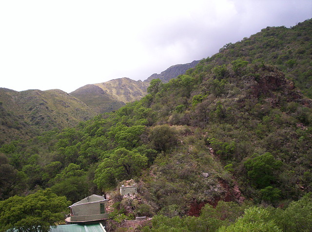 Base del Cerro Enero 2011 057