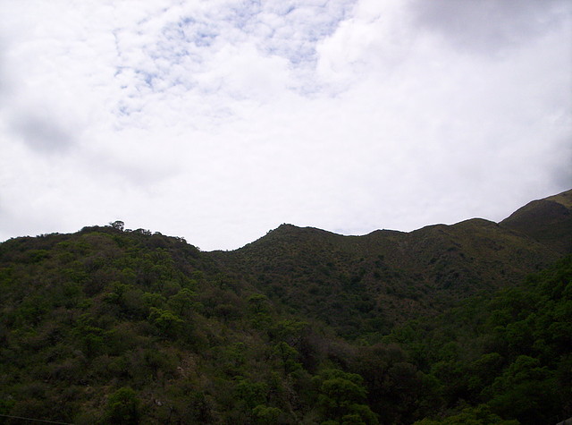 Base del Cerro Enero 2011 058