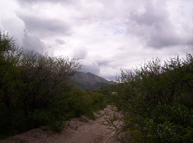 Base del Cerro Enero 2011 039