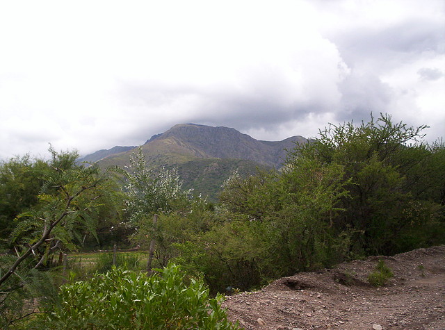 Base del Cerro Enero 2011 038