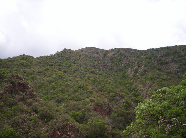 Base del Cerro Enero 2011 056