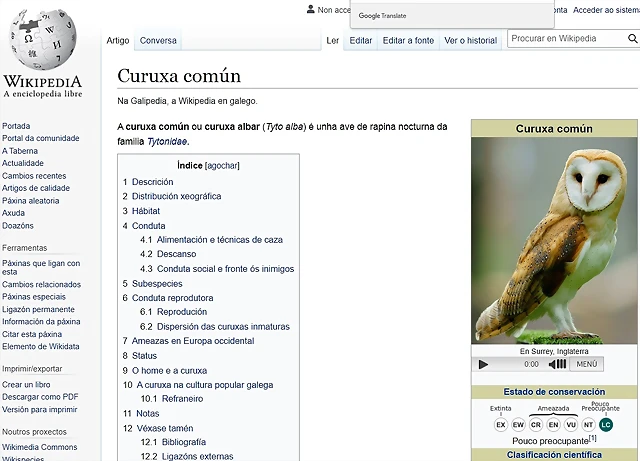 curuxa curuxa