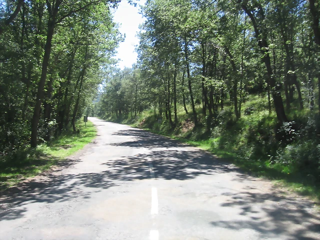 IMG_0460 IMG_0460