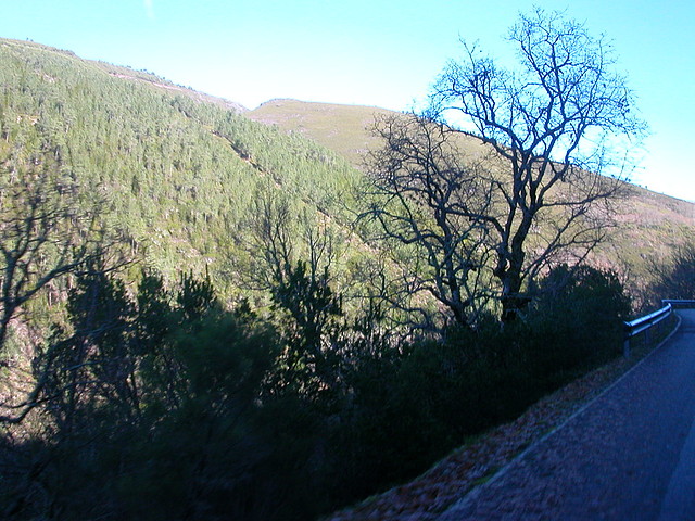 DSCN5525 DSCN5525