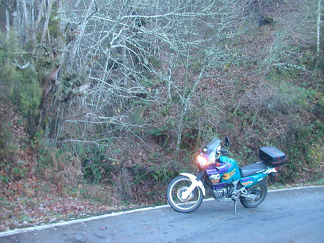 DSCN5520 DSCN5520