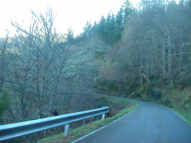 DSCN5515 DSCN5515