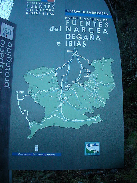 DSCN5551 DSCN5551