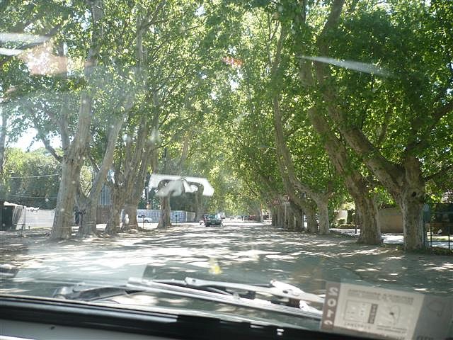 P1120283 (Small) P1120283 (Small)