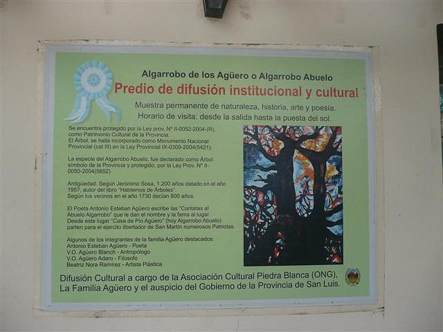 P1120520 (Small)