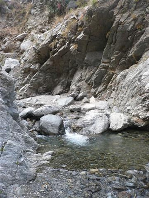 P1120624 (Small)