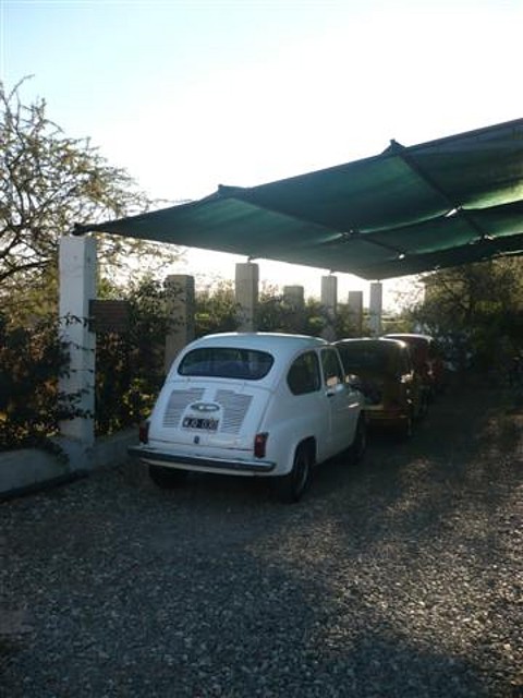 P1120384 (Small)