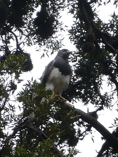 P1120682 (Small)