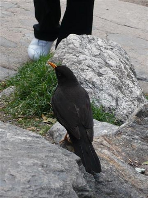 P1120646 (Small)