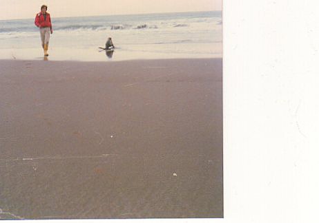 img037 img037