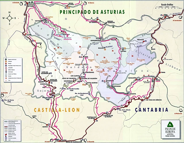 Picos general Picos general