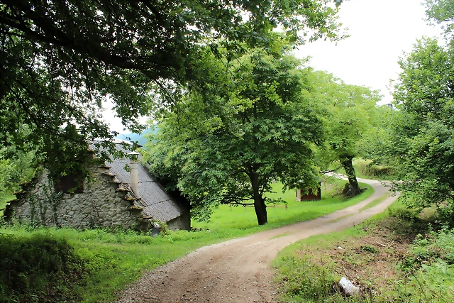 IMG_6500 IMG_6500