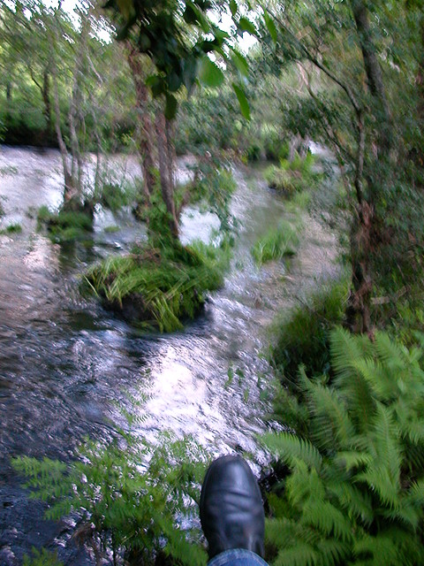 DSCN1186 DSCN1186