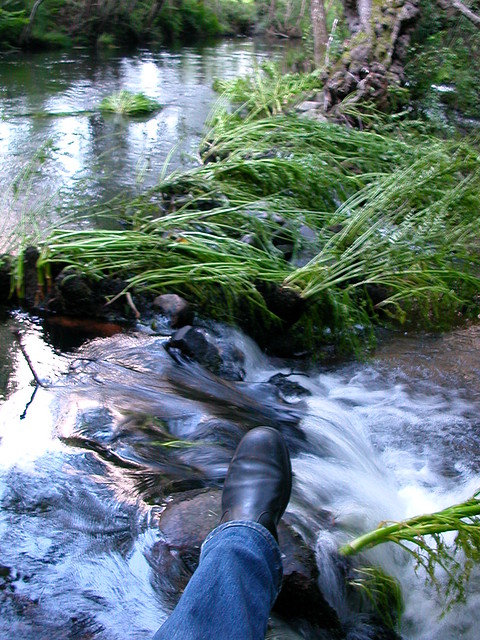 DSCN1189 DSCN1189
