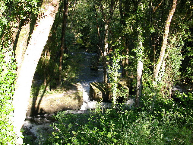 DSCN1154